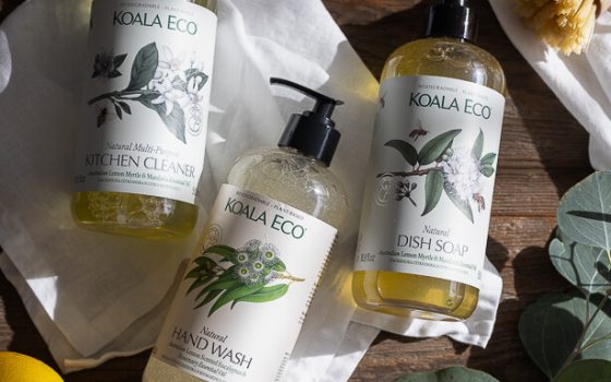 Koala Eco Boxed Set